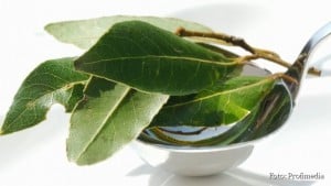 Fresh bay leaves in a ladle