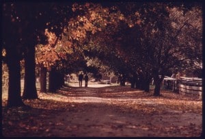 ELDERLY_COUPLE_STROLL_DOWN_A_TREE-LINED_ROAD_WHICH_LEADS_TO_THE_SAWMILL_AT_THE_HALE_FARM_AND_WESTERN_RESERVE_VILLAGE..._-_NARA_-_557940