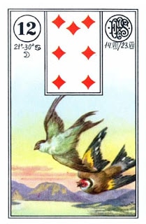 Lenormand karta Ptice (Sove)