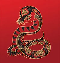 Kineski horoskop – Zmija