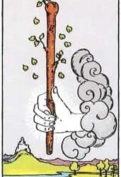 As štapova u kombinacijama