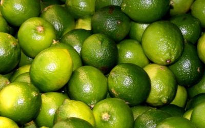 Magična svojstva zelenog limuna i rituali