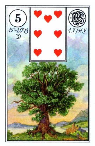 Lenormand karta Drvo i tumačenje kombinacija